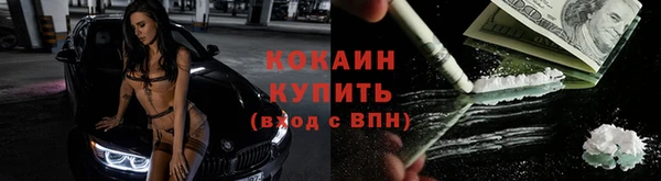 дурь Осташков