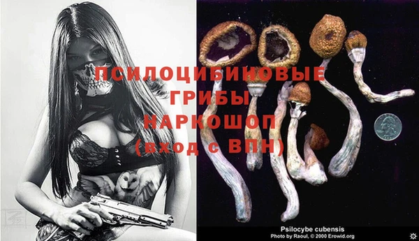 дурь Осташков