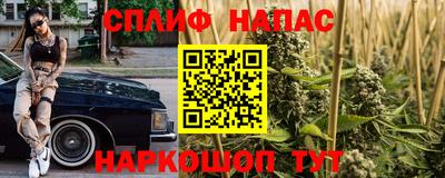 кокс Донской
