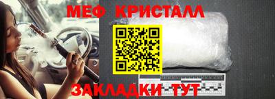 кокс Донской