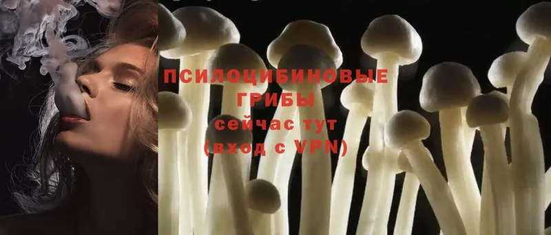 дарнет шоп  Северодвинск  hydra ТОР  Псилоцибиновые грибы Magic Shrooms 