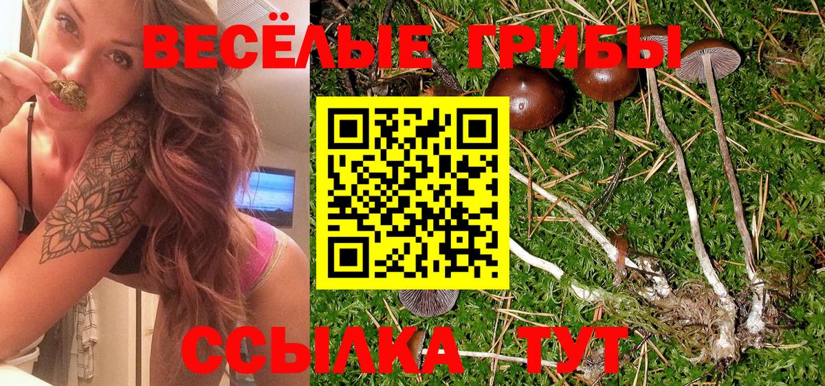 Меф  ГАШ  КОКАИН  MDMA  Северодвинск  А ПВП  Вход с VPN  Канабис  Плюхи 