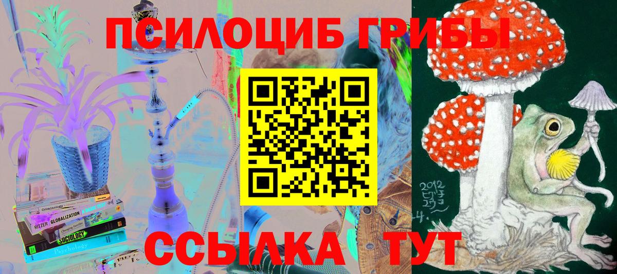 Галлюциногенные грибы Psilocybe Северодвинск
