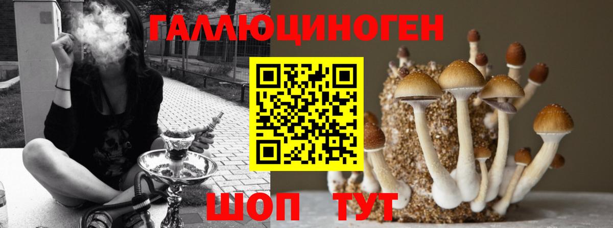 Псилоцибиновые грибы мицелий  Галлюциногенные грибы Cubensis  Северодвинск 